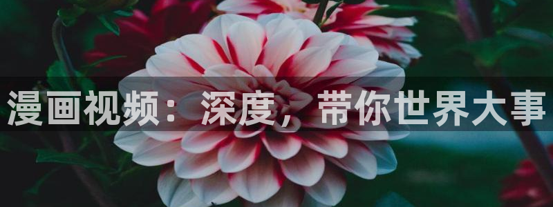 ★禁漫天堂动漫在线看